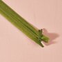 onzichtbaar rits 20 cm matcha leaf